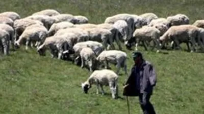 Bu iş için 400 kişi aranıyor !