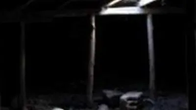 Tamir için çıktı bakın ne buldu