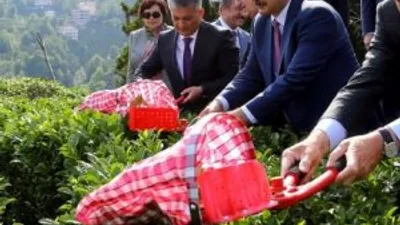 Cumhurbaşkanı Erdoğan çay kesti !