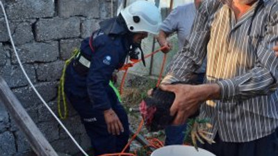 İtfaiye Kuyuya Düşen Horoz için seferber oldu