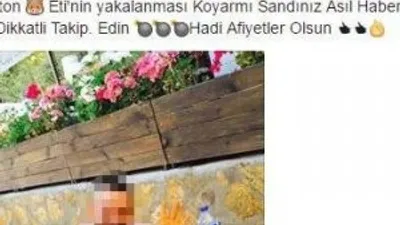 Kaçak domuz eti satan şahıs tehdit etti !