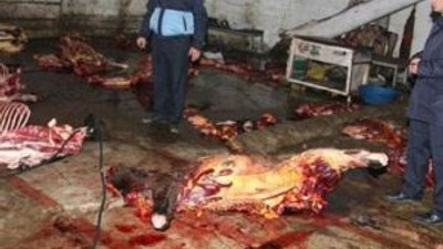 Yarış atlarından sucuk mu yapılıyor ?