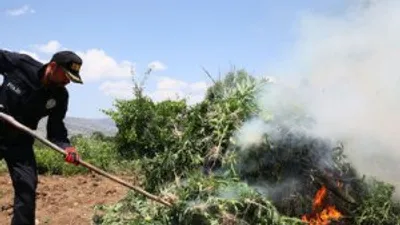 PKK'nın yıllık uyuşturucu geliri