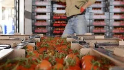 Fiyatı 3 haftada 3 katına çıktı