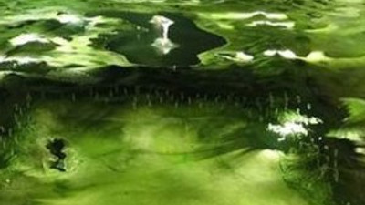 Dünyada bir ilk olan golf sahası Samsun'da açılıyor !