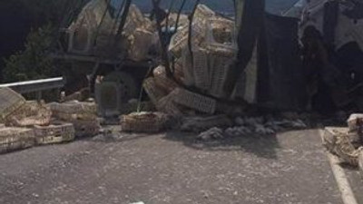 Bolu ve Sakarya'da kaza: 5 ölü
