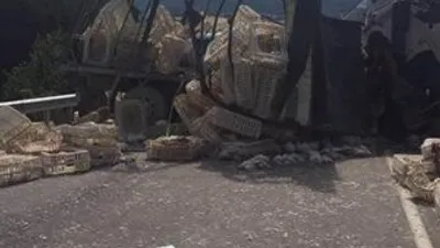 Bolu ve Sakarya'da kaza: 5 ölü