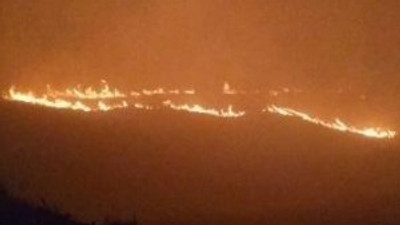 Avşa Adası'nda yürekler ağza geldi !