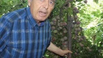 Yöre çiftçisine örnek olan bahçe !