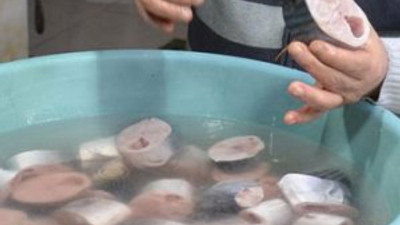 Palamut bolluğu sofraları neşelendirdi