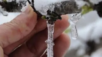 Meteoroloji'den don uyarısı