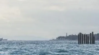 Denizin ortasında şaşırtan kazıklar