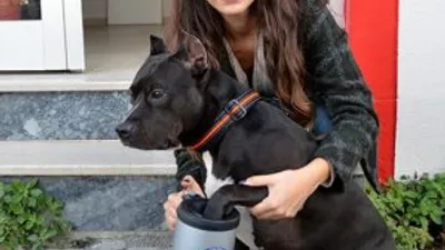 Köpek besleyenlerin büyük derdine son: Patimatik