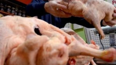Kars'ın kazı altın yumurtluyor