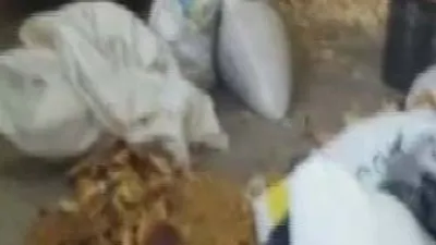 İstanbul'da skandal ! Çöpten toplayıp vatandaşa yedirdiler