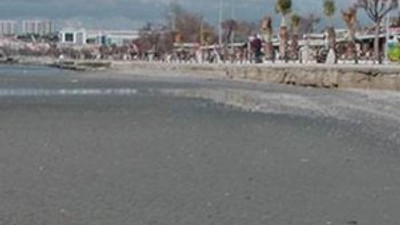 Silivri'de deniz 40 metre çekildi