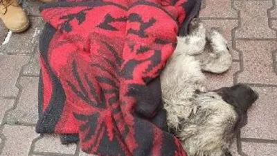 Konya'da duygulandıran görüntü