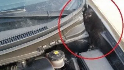 Aracınıza binmeden önce kontrol edin