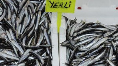 Hamside ürküten tablo: Hasret kalacağız !