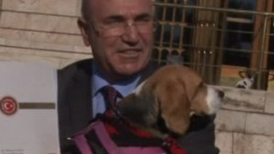 CHP'li Tanal, Meclis'e köpeğiyle geldi