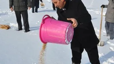 Hayvan dostu imam yaban hayvanlarına sahip çıktı
