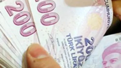 "Yeni girişimciler" hibeye koştu