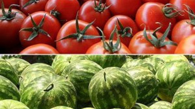 İstanbullular 2016'da en çok karpuz ve domates tüketti