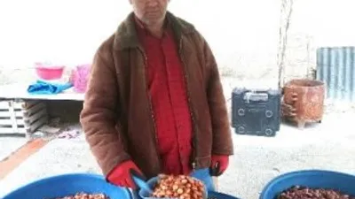 Kuru soğanın fiyatı düştü