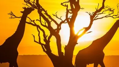 Kenya'da ulusal afet ilan edildi