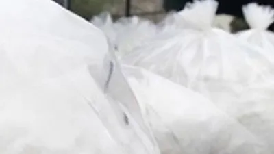 Turistin üzerinden çıkan uyuşturucu şoke etti