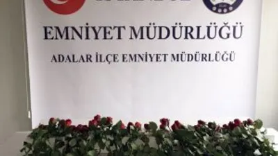 Sevgililer Günü'nde gül çaldı !