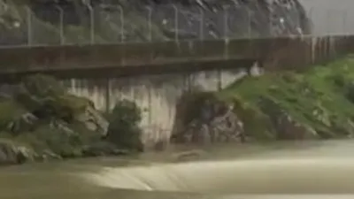 Görenleri hayrete düşüren görüntü