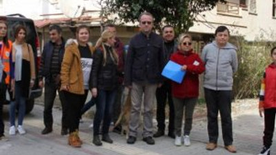 Alanya'da zehirlenen kedi sayısı 50'ye ulaştı