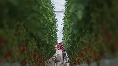 Bakan'dan lojistik altyapı açıklaması
