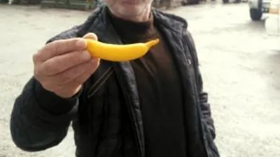 Bu da muz görünümlü limon