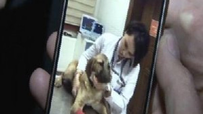 Kuyu köpek karantinaya mı alındı ?
