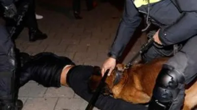 İşte Hollanda krizinin referanduma etkisi