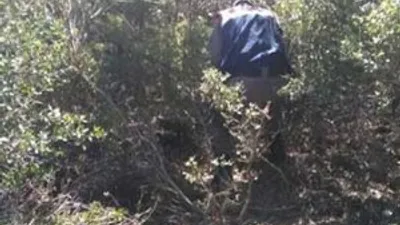 Öküz boynuzuyla hayatını kaybetti