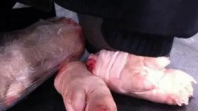 Sırp taraftarlar sahaya domuz bacağı attı