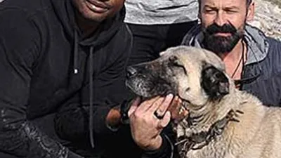 ''Beşiktaş'a gol atarsam yavrulara hediyem...