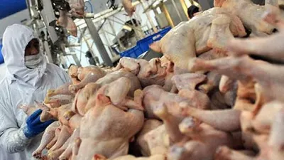 Fiyatı birden 20 TL'den 11 TL'ye düştü