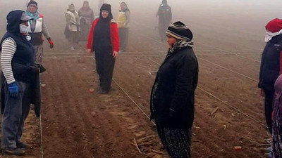 Tarlada çalışanlardan Ata'yya saygı duruşu