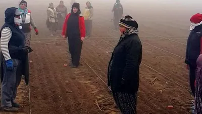 Tarlada çalışanlardan Ata'yya saygı duruşu