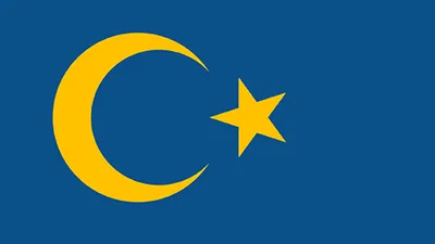İsveç bayrağı için ''ay-yıldız'' kampanyası