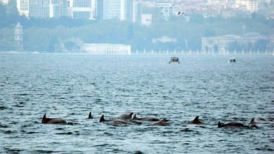 İstanbul Boğazı'nda büyük operasyon