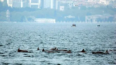 İstanbul Boğazı'nda büyük operasyon