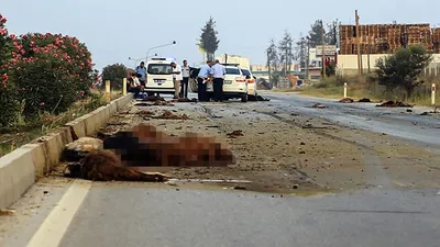 Korkunç kaza; asfalt kana bulandı