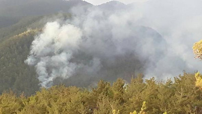Kalleş PKK Amanoslar'ı ateşe verdi