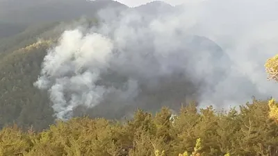 Kalleş PKK Amanoslar'ı ateşe verdi