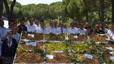 Sezonun ilk kuru inciri 200 TL'den satıldı